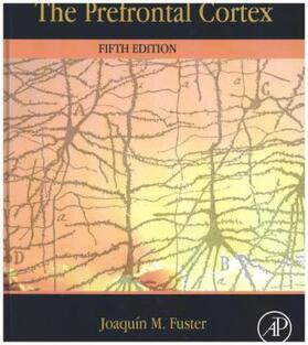 Fuster |  The Prefrontal Cortex | Buch |  Sack Fachmedien