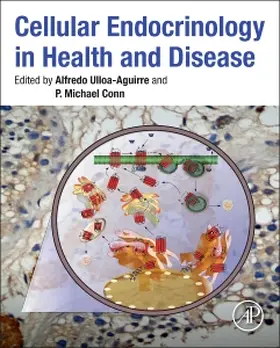 Ulloa-Aguirre / Conn |  Cellular Endocrinology in Health and Disease | Buch |  Sack Fachmedien