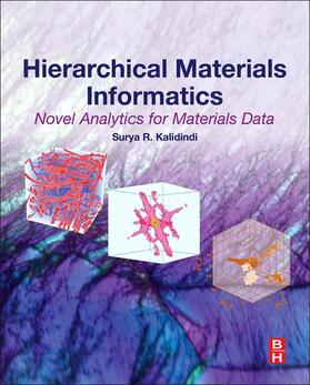 Kalidindi |  Hierarchical Materials Informatics | Buch |  Sack Fachmedien