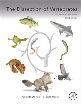 De Iuliis / Pulerà |  The Dissection of Vertebrates | Buch |  Sack Fachmedien