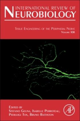  Tissue Engineering of the Peripheral Nerve | Buch |  Sack Fachmedien