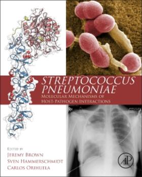 Brown / Hammerschmidt / Orihuela |  Streptococcus Pneumoniae | Buch |  Sack Fachmedien