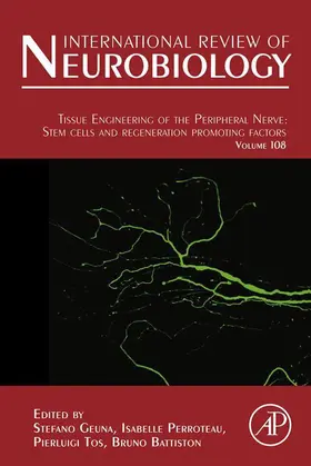 Geuna / Perroteau / Tos |  Tissue Engineering of the Peripheral Nerve | eBook | Sack Fachmedien