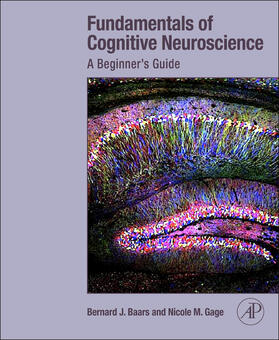 Baars / Gage |  Fundamentals of Cognitive Neuroscience: A Beginner's Guide | Buch |  Sack Fachmedien