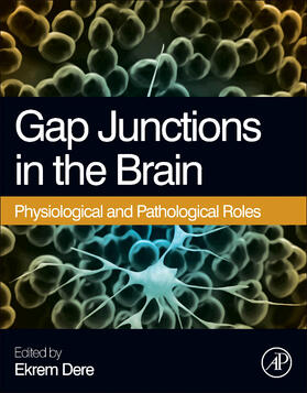 Dere |  Gap Junctions in the Brain | Buch |  Sack Fachmedien