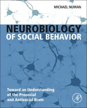 Numan |  Neurobiology of Social Behavior | Buch |  Sack Fachmedien