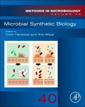  Microbial Synthetic Biology | Buch |  Sack Fachmedien