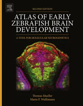 Mueller / Wullimann |  Atlas of Early Zebrafish Brain Development | eBook | Sack Fachmedien