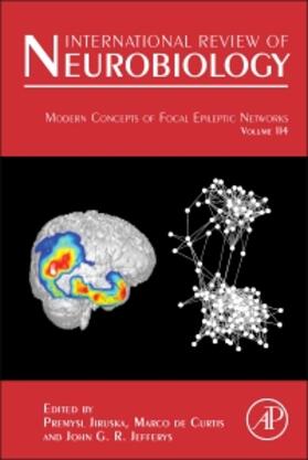  Modern Concepts of Focal Epileptic Networks | Buch |  Sack Fachmedien