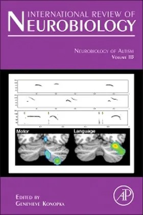  Neurobiology of Autism | Buch |  Sack Fachmedien