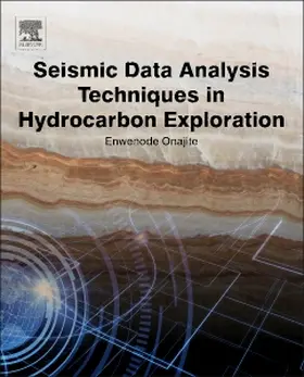 Onajite |  Seismic Data Analysis Techniques in Hydrocarbon Exploration | Buch |  Sack Fachmedien