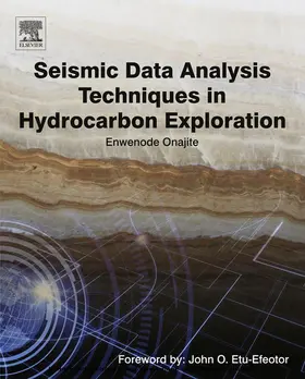 Onajite |  Seismic Data Analysis Techniques in Hydrocarbon Exploration | eBook | Sack Fachmedien