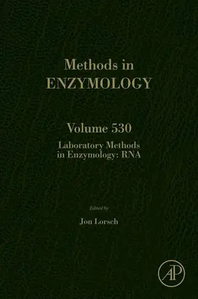 Lorsch |  Laboratory Methods in Enzymology: RNA | eBook | Sack Fachmedien