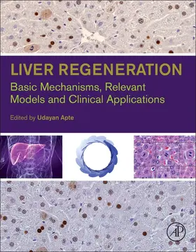 Apte |  Liver Regeneration | Buch |  Sack Fachmedien