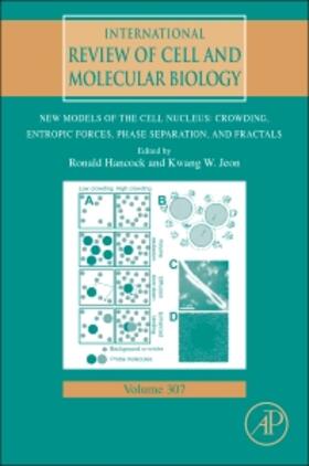 Hancock / Jeon |  New Models of the Cell Nucleus: Crowding, Entropic Forces, Phase Separation, and Fractals | Buch |  Sack Fachmedien