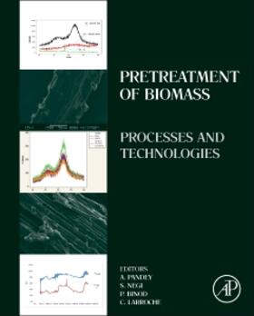 Pandey / Negi / Binod |  Pretreatment of Biomass | Buch |  Sack Fachmedien