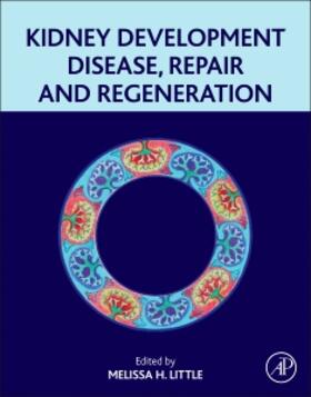 Little |  Kidney Development, Disease, Repair and Regeneration | Buch |  Sack Fachmedien