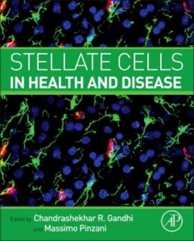 Gandhi / Pinzani |  Stellate Cells in Health and Disease | Buch |  Sack Fachmedien