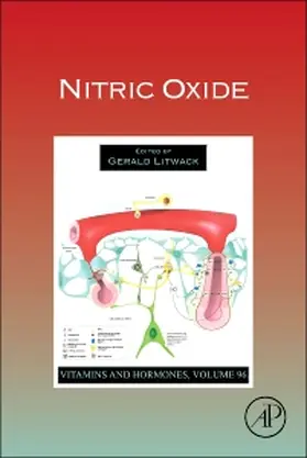  Nitric Oxide | Buch |  Sack Fachmedien