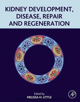 Little |  Kidney Development, Disease, Repair and Regeneration | eBook | Sack Fachmedien