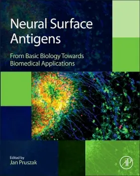 Pruszak |  Neural Surface Antigens | Buch |  Sack Fachmedien