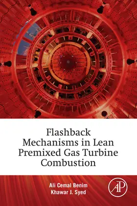 Benim / Syed |  Flashback Mechanisms in Lean Premixed Gas Turbine Combustion | eBook | Sack Fachmedien