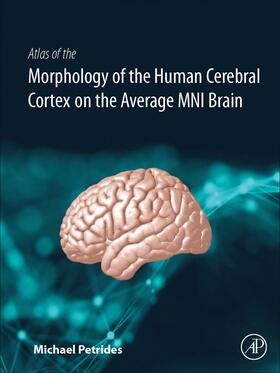 Petrides |  Atlas of the Morphology of the Human Cerebral Cortex on the Average Mni Brain | Buch |  Sack Fachmedien