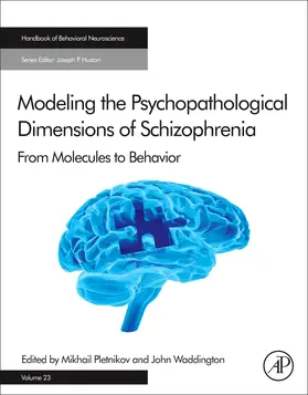 Pletnikov / Waddington |  Modeling the Psychopathological Dimensions of Schizophrenia | Buch |  Sack Fachmedien