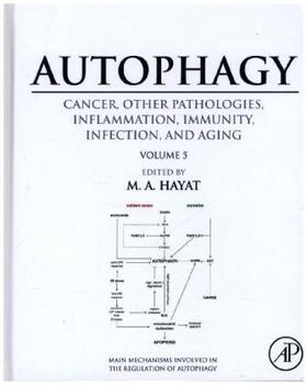 Hayat |  Autophagy: Cancer, Other Pathologies, Inflammation, Immunity, Infection, and Aging | Buch |  Sack Fachmedien