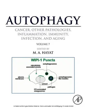 Hayat |  Autophagy: Cancer, Other Pathologies, Inflammation, Immunity, Infection, and Aging | eBook | Sack Fachmedien