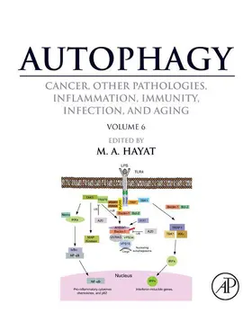 Hayat |  Autophagy: Cancer, Other Pathologies, Inflammation, Immunity, Infection, and Aging | eBook | Sack Fachmedien