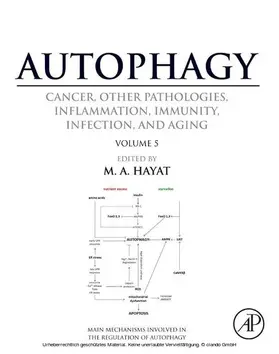 Hayat |  Autophagy: Cancer, Other Pathologies, Inflammation, Immunity, Infection, and Aging | eBook | Sack Fachmedien