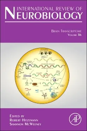  Brain Transcriptome | Buch |  Sack Fachmedien