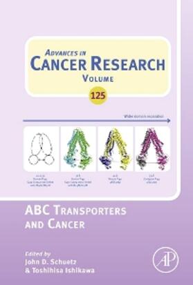  ABC Transporters and Cancer | Buch |  Sack Fachmedien