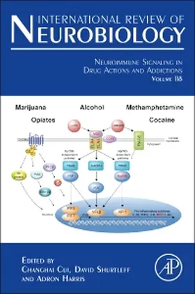  Neuroimmune Signaling in Drug Actions and Addictions | Buch |  Sack Fachmedien