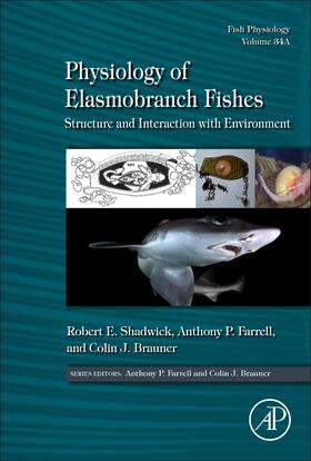 Shadwick / Farrell / Brauner |  Physiology of Elasmobranch Fishes: Structure and Interaction with Environment | Buch |  Sack Fachmedien