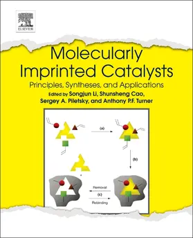 Li / Cao / Piletsky |  Molecularly Imprinted Catalysts | Buch |  Sack Fachmedien