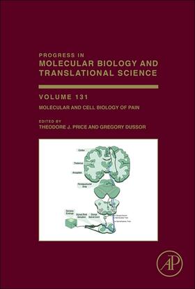  Molecular and Cell Biology of Pain | Buch |  Sack Fachmedien