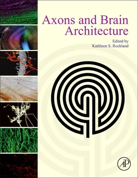 Rockland |  Axons and Brain Architecture | Buch |  Sack Fachmedien