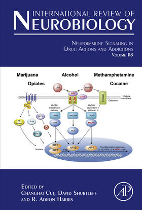 Cui / Shurtleff |  Neuroimmune Signaling in Drug Actions and Addictions | eBook | Sack Fachmedien