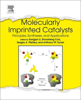 Li / Cao / Piletsky |  Molecularly Imprinted Catalysts | eBook | Sack Fachmedien