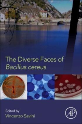 Savini |  The Diverse Faces of Bacillus Cereus | Buch |  Sack Fachmedien
