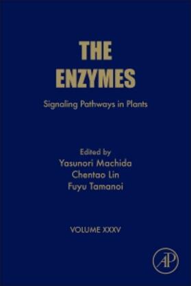  Signaling Pathways in Plants | Buch |  Sack Fachmedien