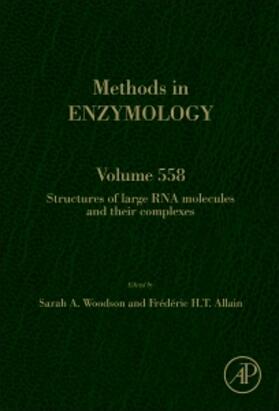  Structures of Large RNA Molecules and Their Complexes | Buch |  Sack Fachmedien