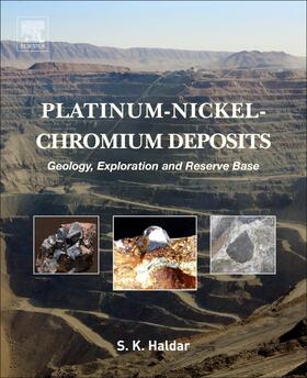 Haldar |  Platinum-Nickel-Chromium Deposits | Buch |  Sack Fachmedien