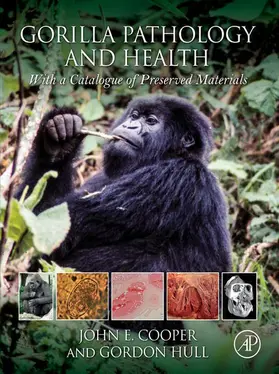 Cooper / Hull |  Gorilla Pathology and Health | eBook | Sack Fachmedien