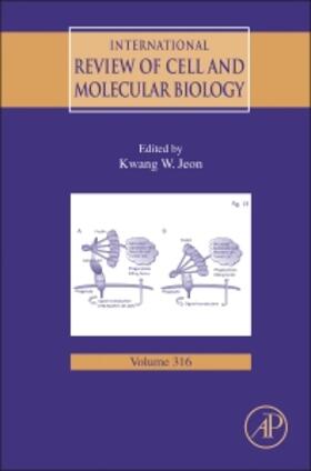 Jeon |  International Review of Cell and Molecular Biology | Buch |  Sack Fachmedien