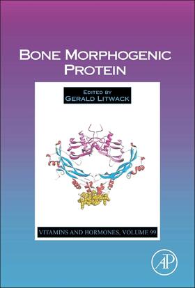 Litwack |  Bone Morphogenic Protein | Buch |  Sack Fachmedien