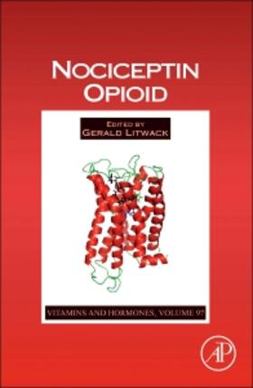  Nociceptin Opioid | Buch |  Sack Fachmedien