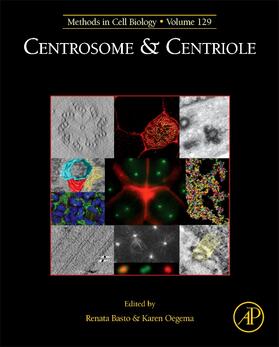  Centrosome and Centriole | Buch |  Sack Fachmedien